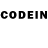 COCAIN Fish Scale LateRun