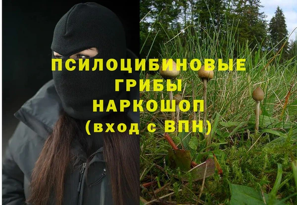 мескалин Лабытнанги