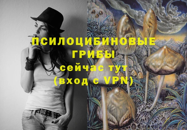 дмт Лихославль