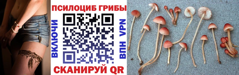 Галлюциногенные грибы MAGIC MUSHROOMS  Плёс 